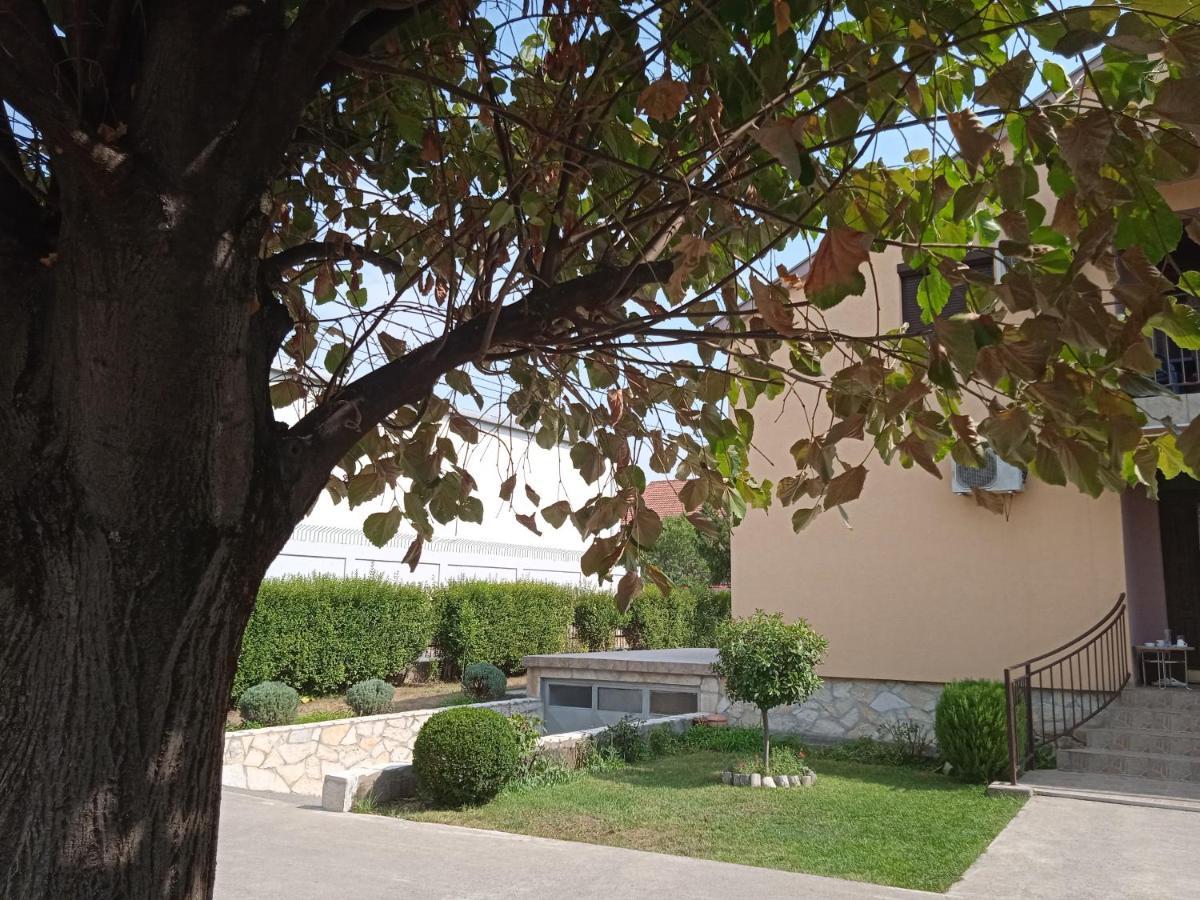 Hostel Vera - Airport Podgorica Mitrovici  Exteriér fotografie